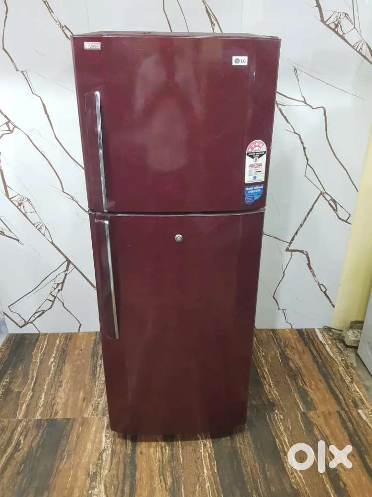 Lg flower design double door refrigerator $