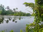Varapuzha neericode water water frontage per cent ₹2.9 lakh