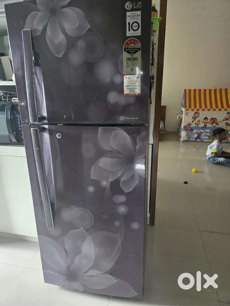 LG 260 Liters 4 Star Smart Investor Compressor  Refrigerator