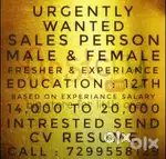 Wanted Sales Person