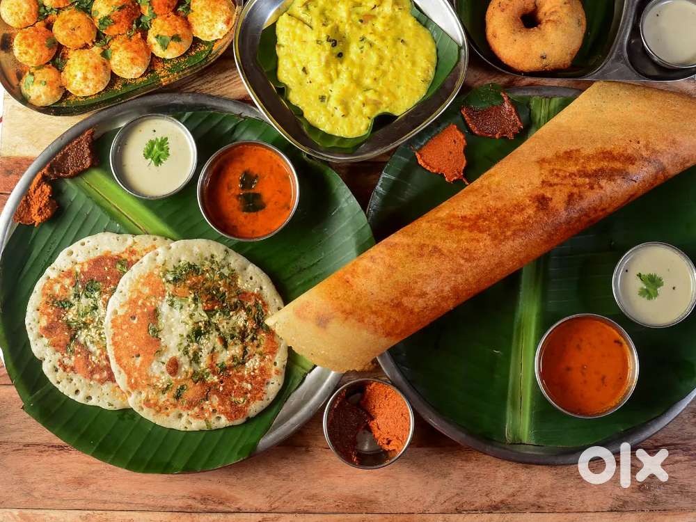 I need south indian mistri in paradeep