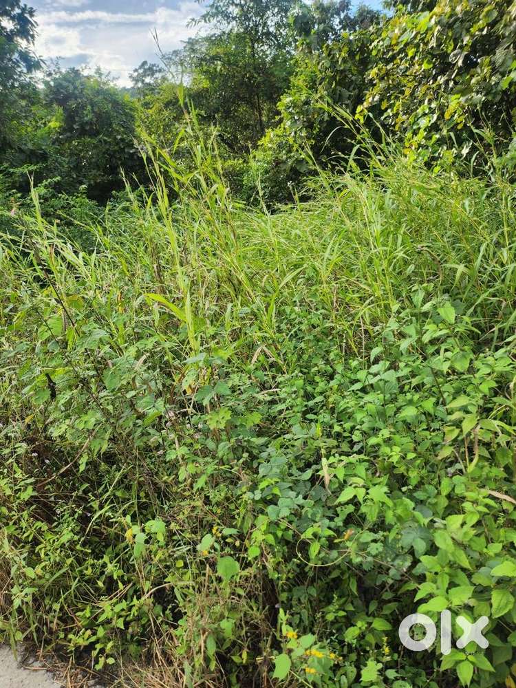 Agriculture Land Sale in next to Adlabs Imagica