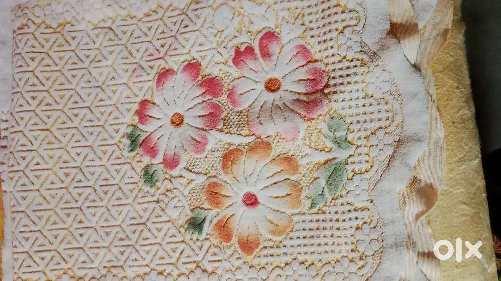 ꜱᴏꜰᴀ ᴄᴏᴠᴇʀ3+1+1