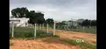 TIRUPATHI SRINIVASA MANGAPURAM DAGGARA NARSINGAPURAM LO SITE FOR SALE
