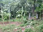 Residential Plot in Eruveli – 7.5 Cents – Direct Owner Sale