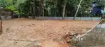 Ambalamukku,vayalikada,