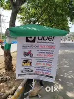 umbrella field work jobs