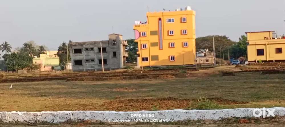 Residential plot for sale pahala