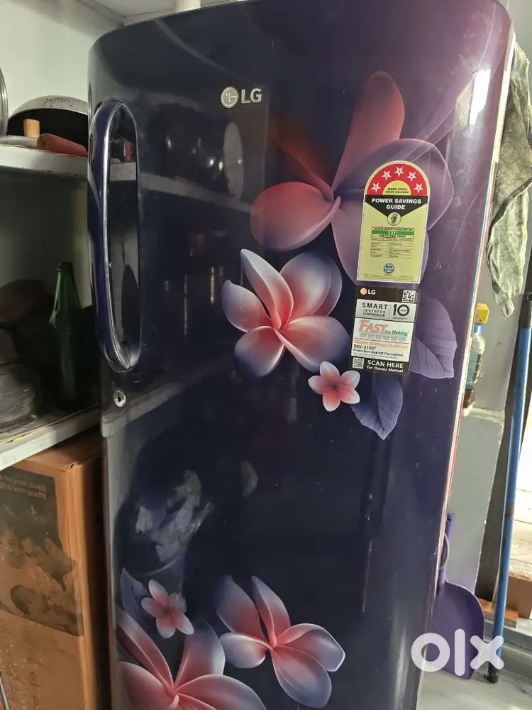 2024 Bought LG single door 185L ,5 star rated Fridge