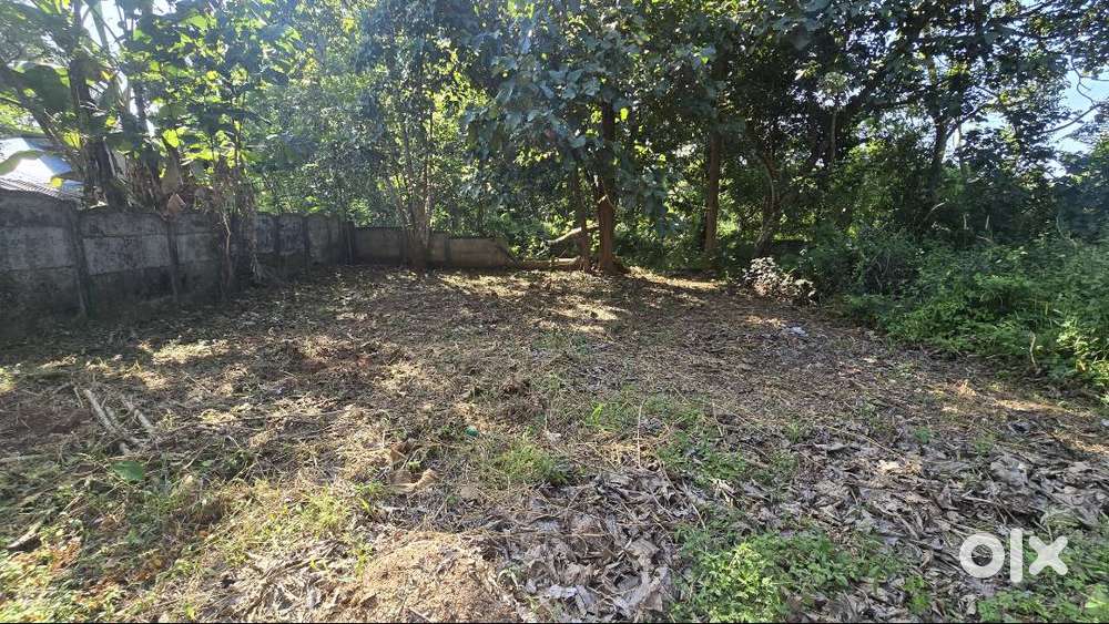 plot for sale in kozhikunnu ( near thiroor (thrissur)