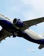 Indigo Airlines Jobs /Vacancy for Airport Ground Staff / Driver / Crew