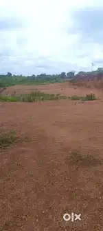 Farm land Agriculture