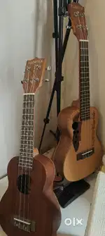Ukelele From kadence