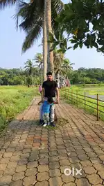Looking carpenter helper 15000, carpenter exprience 25000