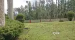 120 ACKRS COFFEE ESTATE FOR SALE
