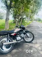 2015Model koi kami nhi h