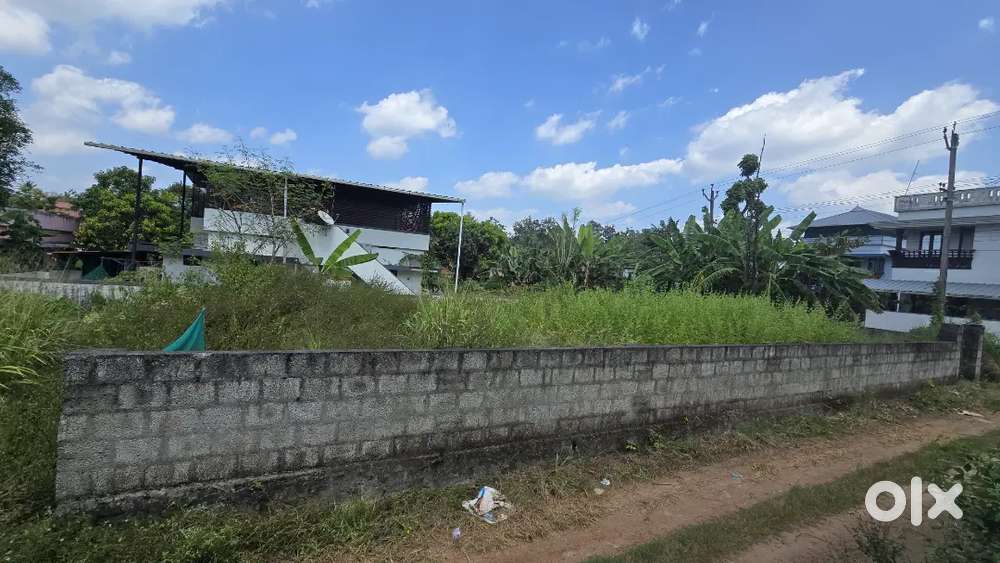 Nedumbassery  mekkad main road frontage 5.600 cent plot for sale