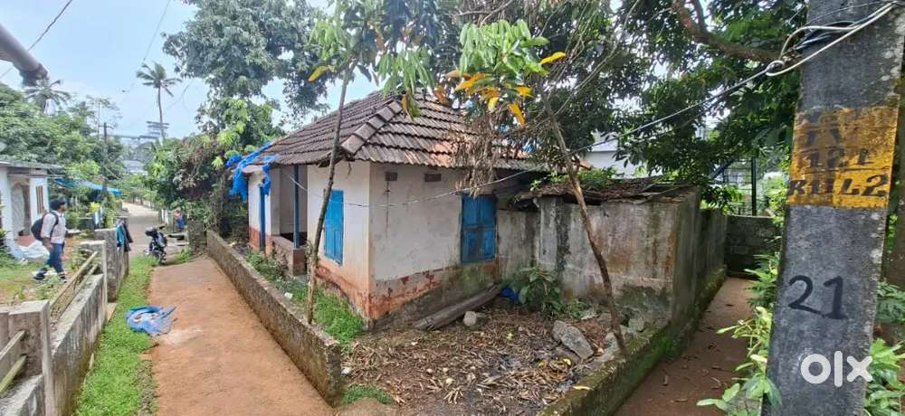 തൊടുപുഴ സ്മിത ഹോസ്പിറ്റലിനു സമിപം