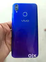 Vivo natvark ishu