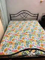 A double bed non storage Iron Cot with Mattress