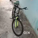 Hector cycle