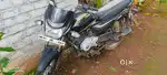 platina 100 2018