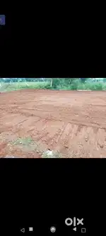 Land + House
