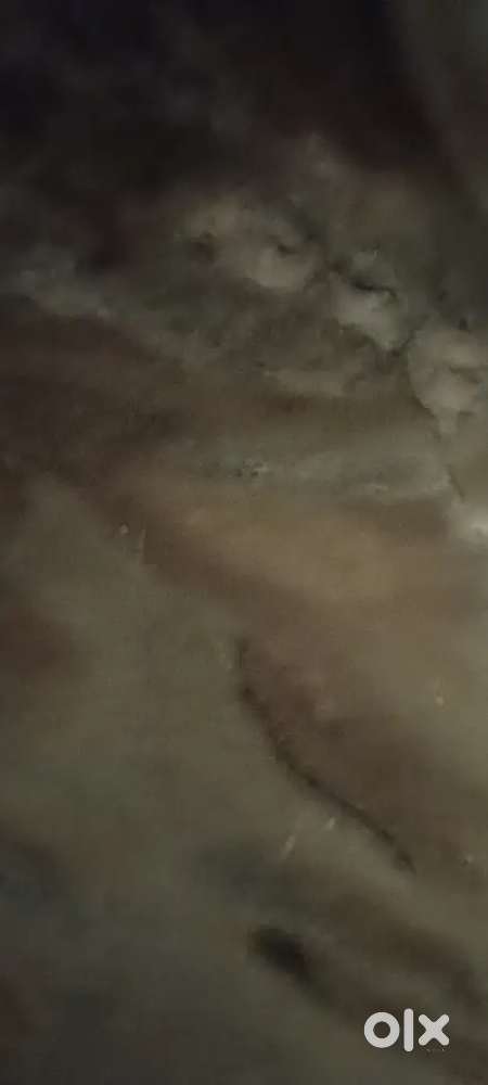 Car washer staff wanted