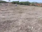 64 cent land