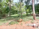 House plots for sale in Plachimada, Palakkad