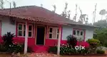 75 ACRES COFFEE ESTATE FOR SALE