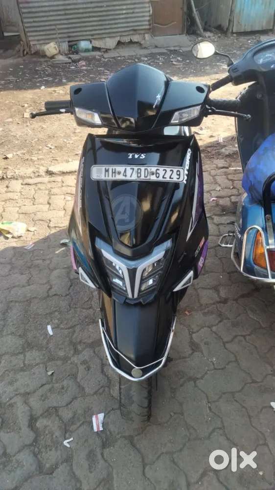 1,owner  papper all clear