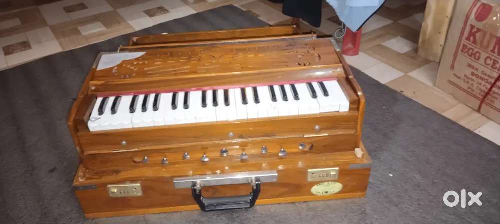 Harmonium , Music instrument
