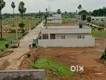 500yds  open plot in fully developed venture get 50 % appreci. in 1 yr
