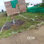Plot location good