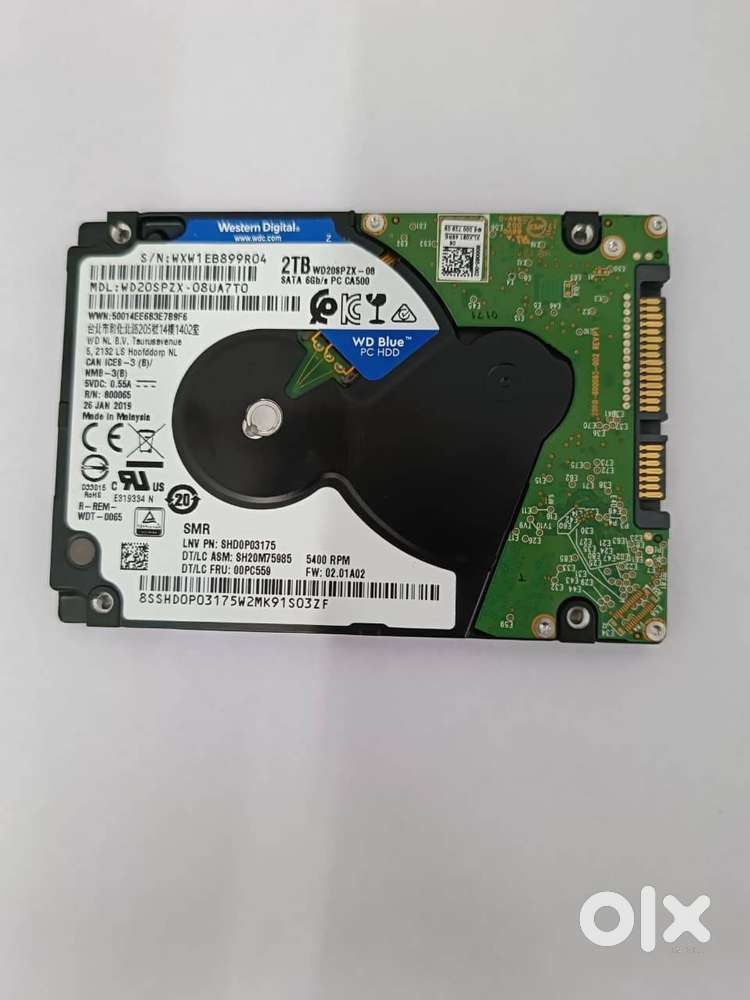 WESTERN DIGITAL Blue 2 TB Laptop Internal Hard Disk Drive (HDD)