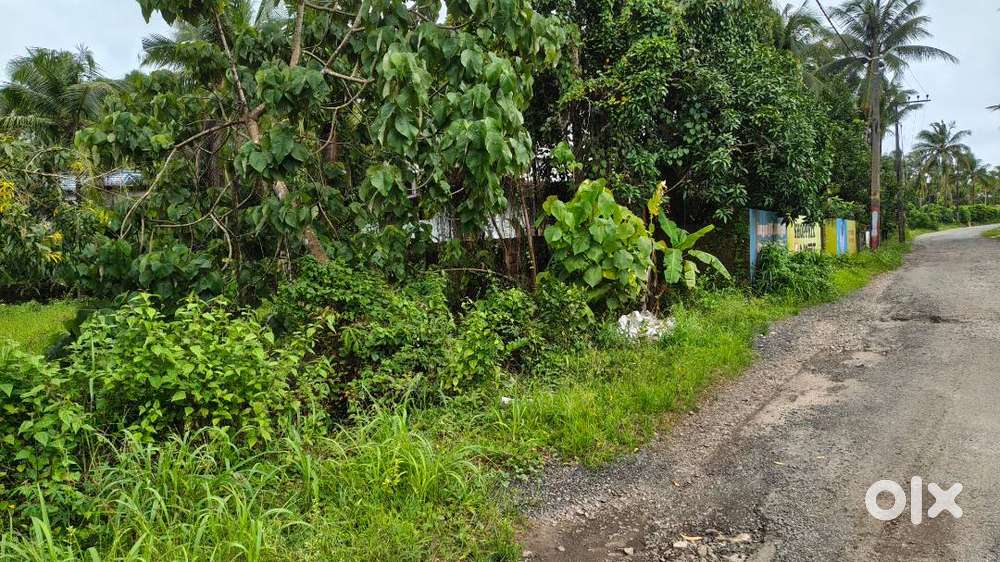 12.6 Cent Land 1.5 KM from Payyanur KSRTC Bus Stant toward Korom
