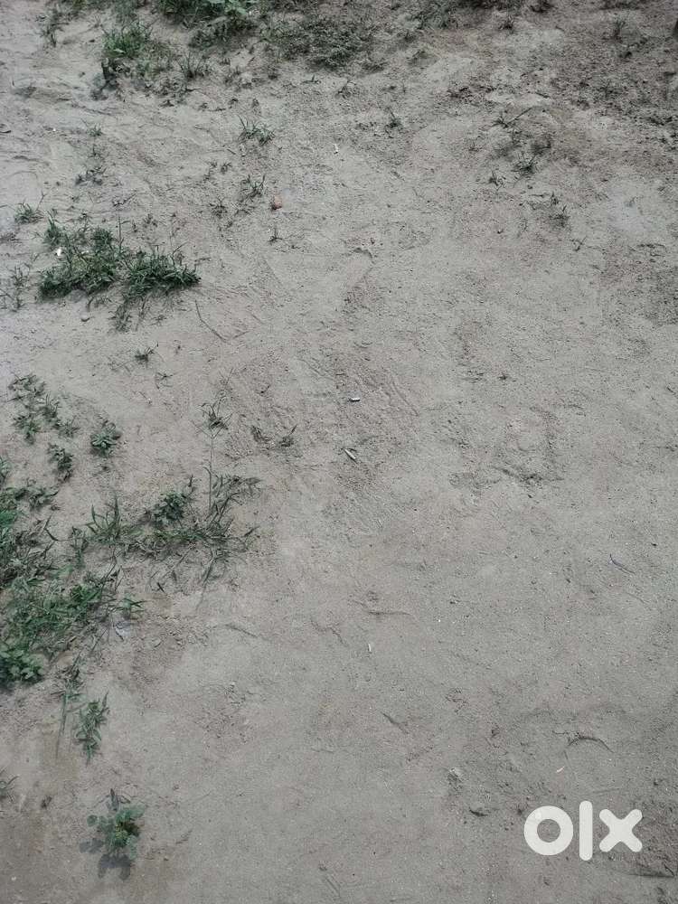 Jamin bikribka hai