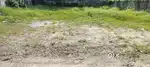 6 CENT PRIME RESIDENTIAL PLOT FOR SALE NEAR PONGUMOODU