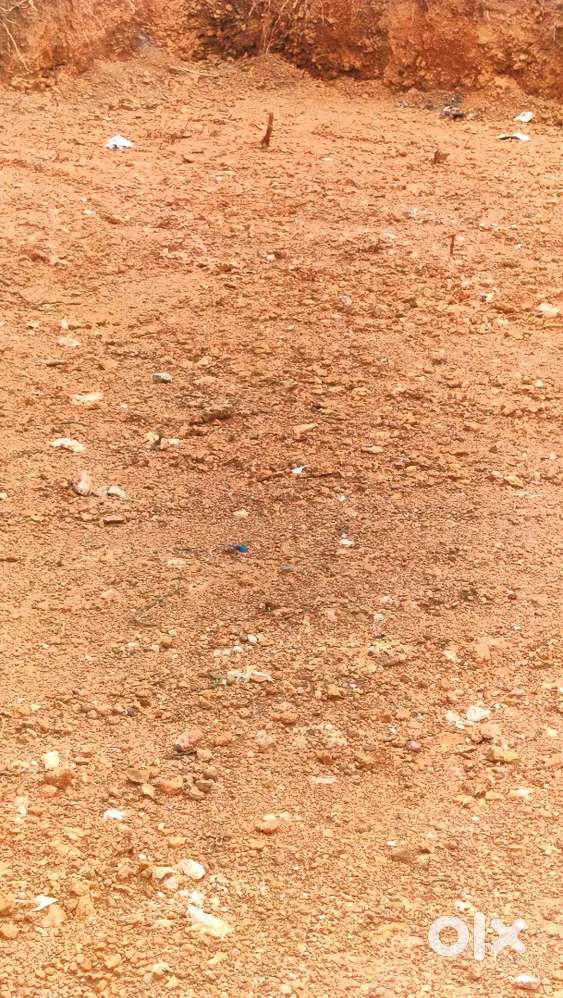 New plot in kattayikonam