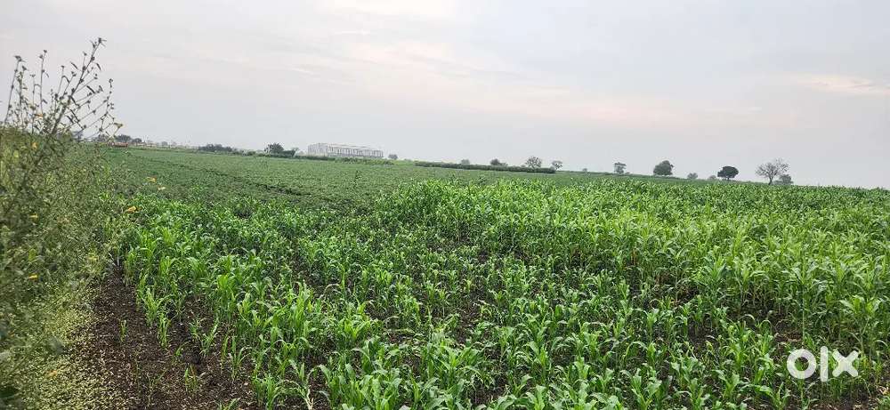 Open land for rent, mantur cross outer ring road hubli