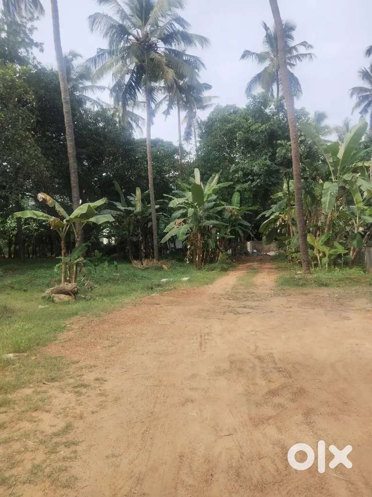 Thrissur kuriachira near unity nagar 8 cent plot for sale
