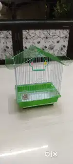 Bird Cage with swing