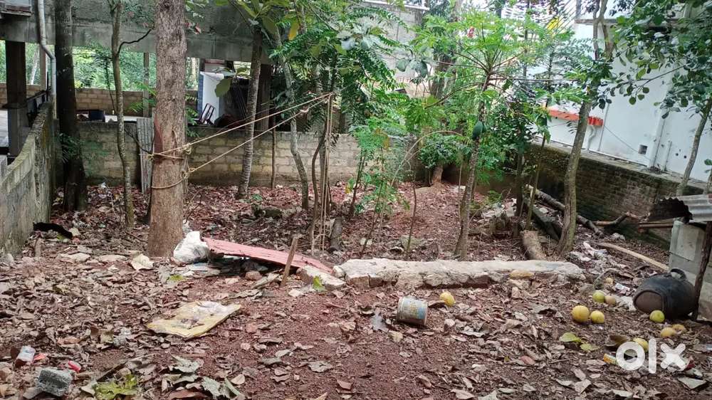 4 cent plot in thrikkannapuram