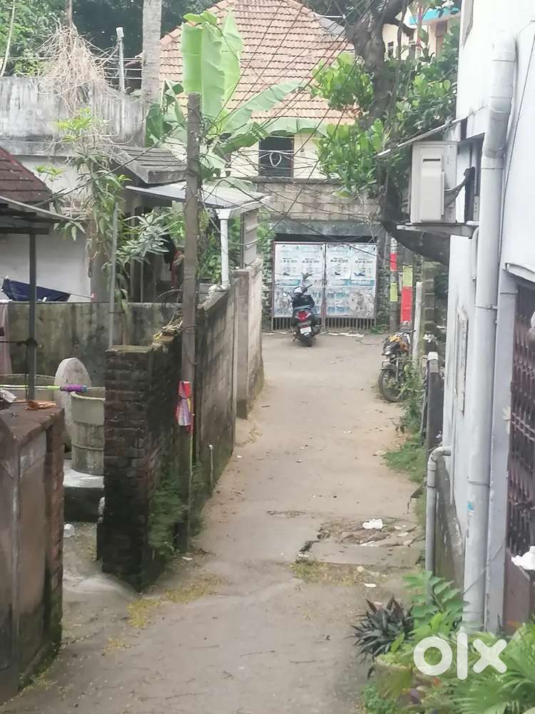 House for rent