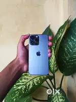 Iphone 13 pro good condition all working