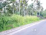 70 Cent Commercial Plot Payarumoodu Punnakkulam Mukkola Vizhinjam TVPM