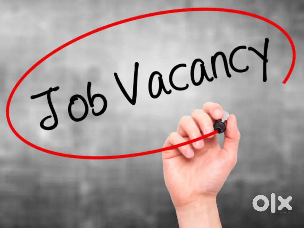 Urgent hiring for male and female office staff