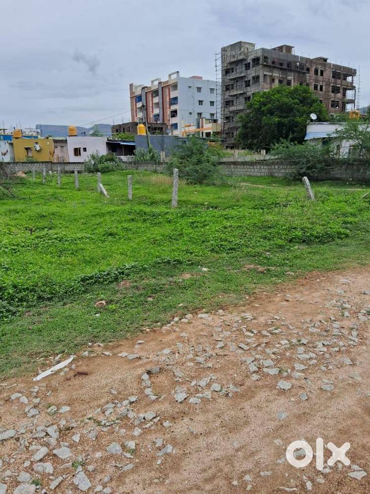 Residential Plot for Sale – Sri Sai Vishnu Layout, Sujatha Nagar, TPT