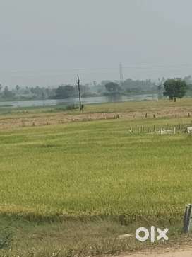1.5 acres land for sale Rs.37.5 lakhs on Taar road facing near mylavar